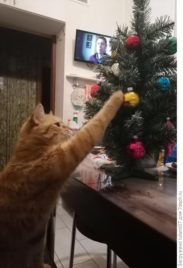 В этот раз с этой маленькой ёлочки минус шесть игрушек.