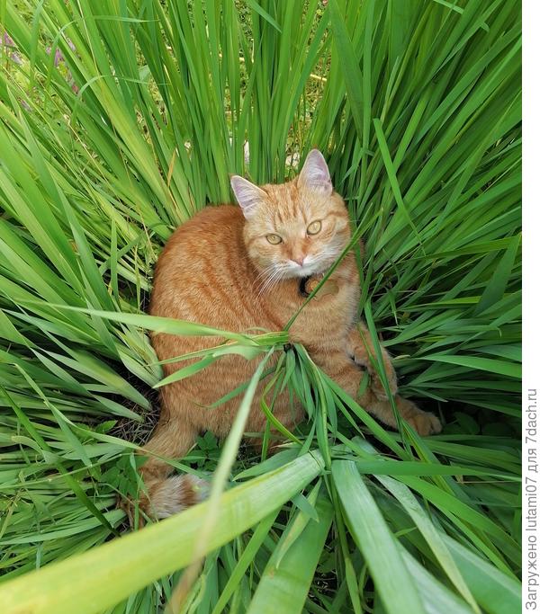 Как в гнезде...