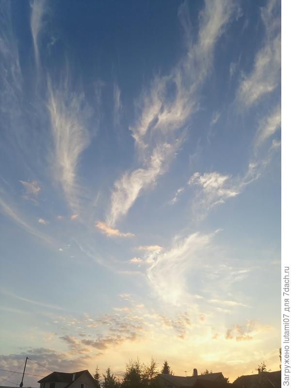 Крылья ангелов