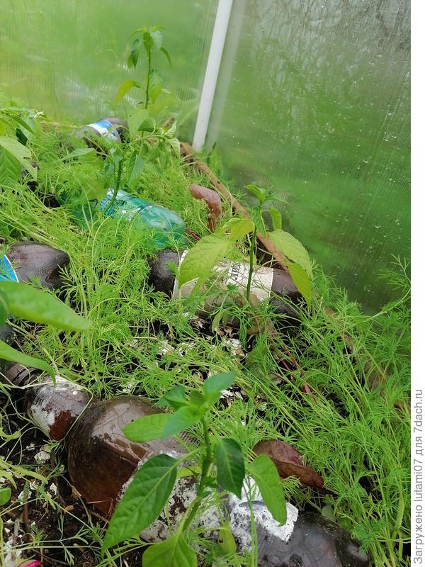 Через месяц