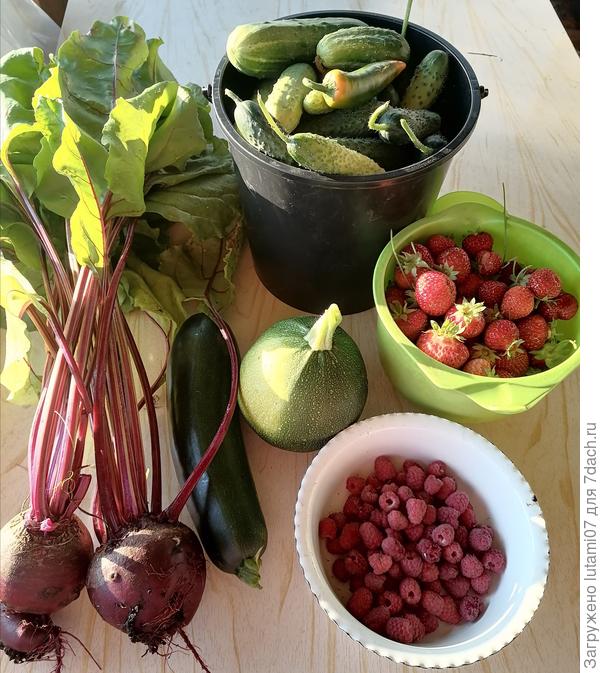 Понемногу овощи подтягиваются...