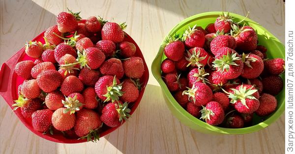 Опять 25 кг...