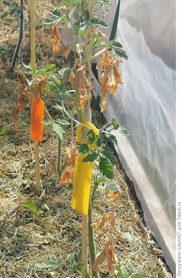 Вот такие были...