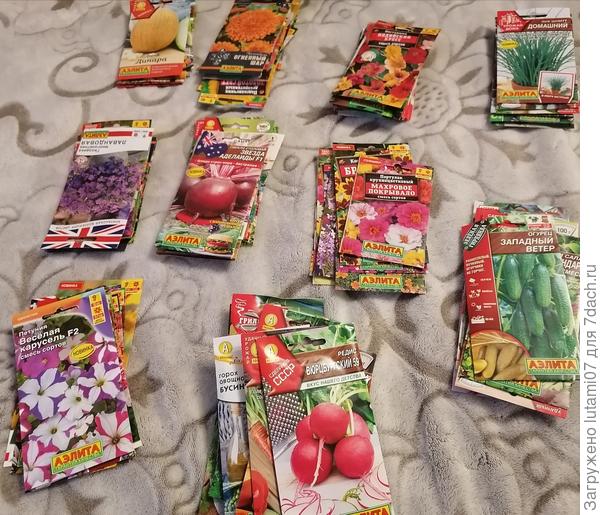 10 кучек по 10 пачек