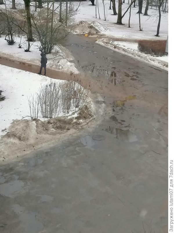 Сплошные лужи, дождь...