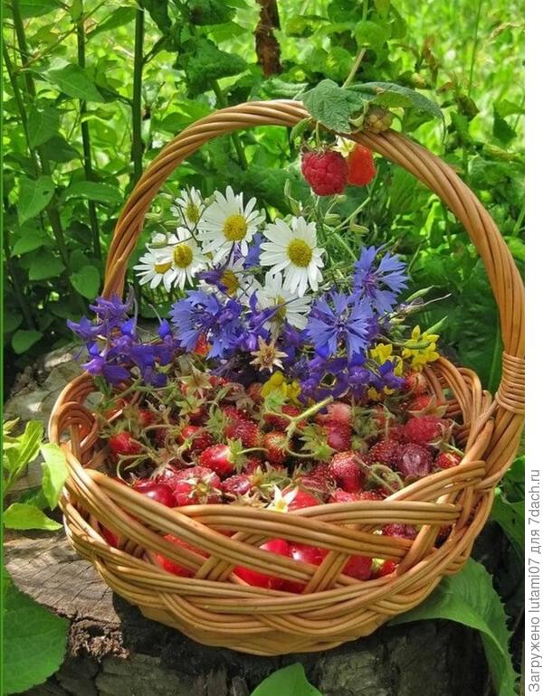 С Днем рожбения!