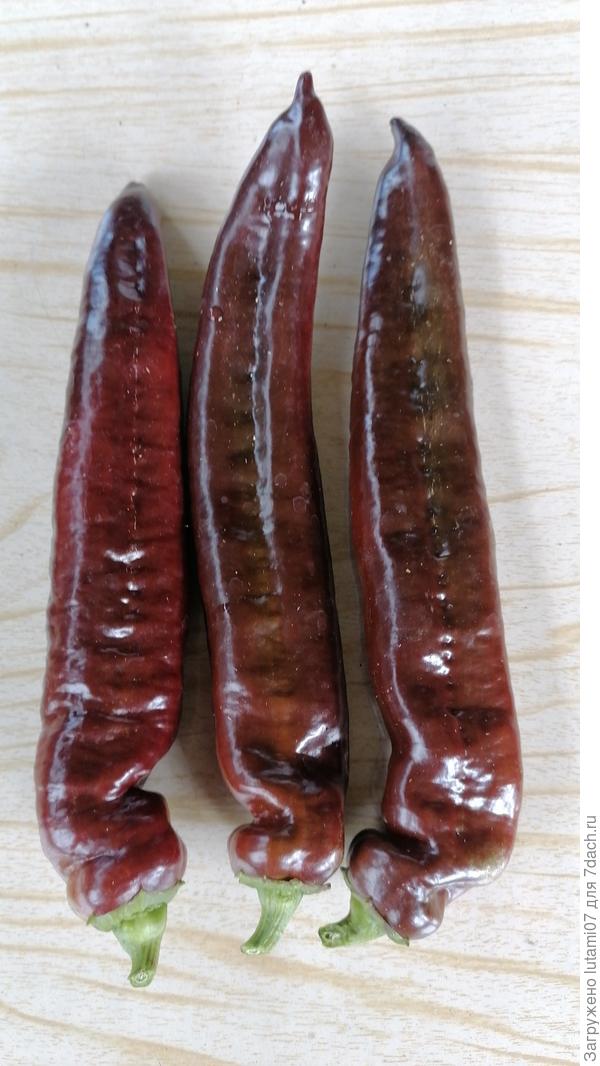 Почти близнецы