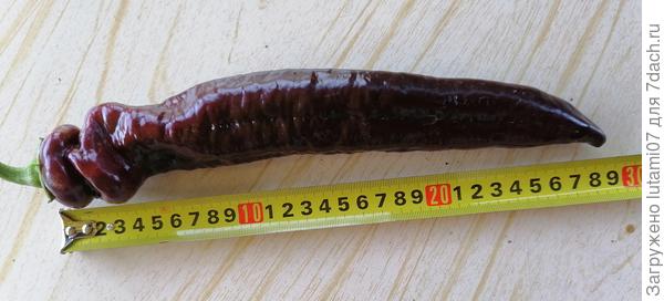 Чуток не дотягивает до 30 см