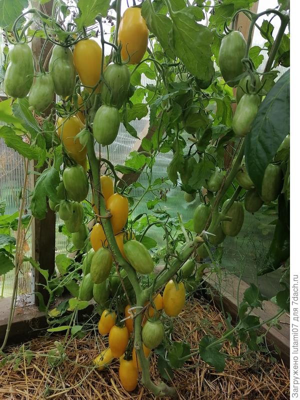 Банан жёлтый, серия Вкуснотека.