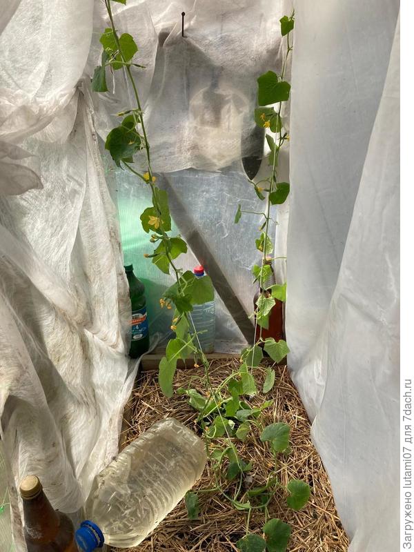 Ночь прошла успешно.