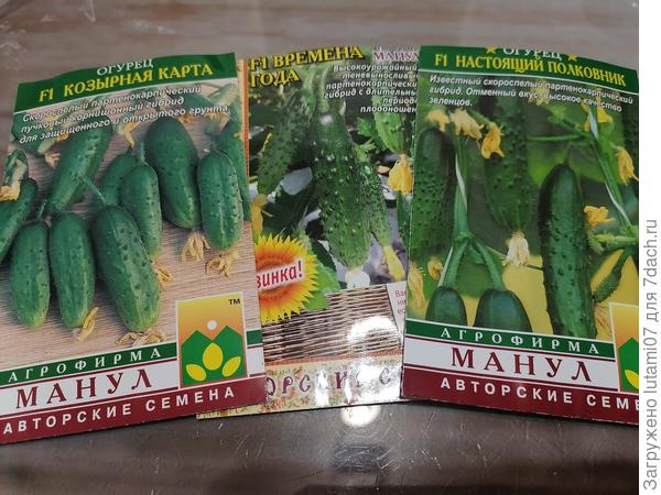 Эти тоже понравились