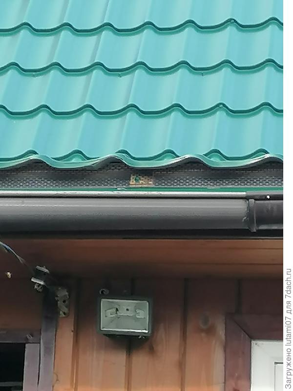 Защитная лента