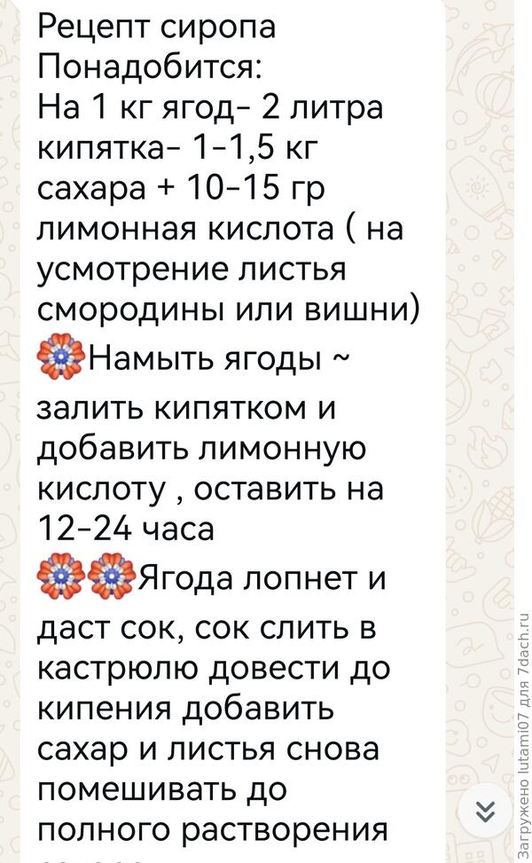 Сироп вскипятить, разлить по бутылкам/банкам. Стоит без холодильника. Потом разводят с кипятком в кружке/кувшине.