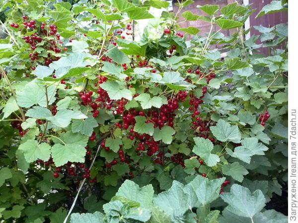 и еще осталось