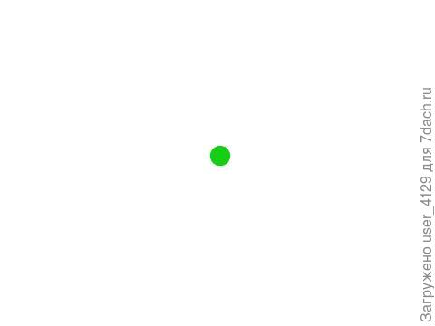 гортензия метельчатая