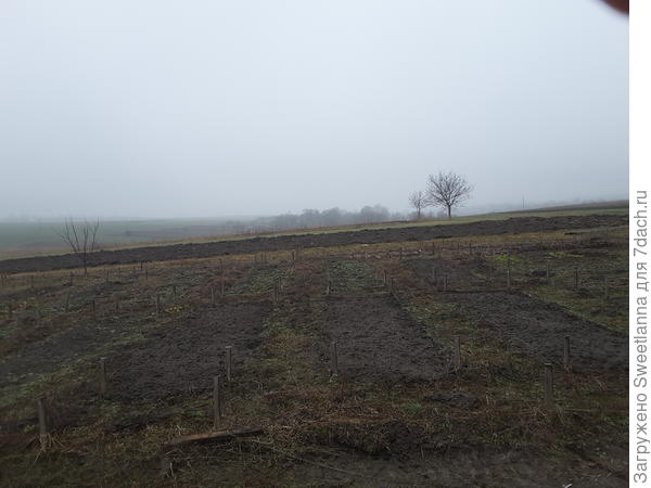 Это мой огород, еще много с ним работы