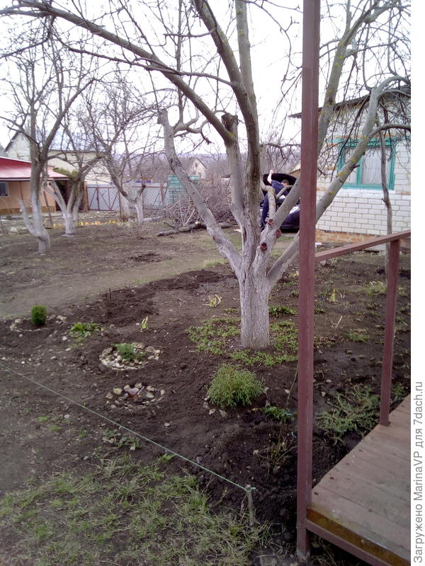 Вид на клумбу.