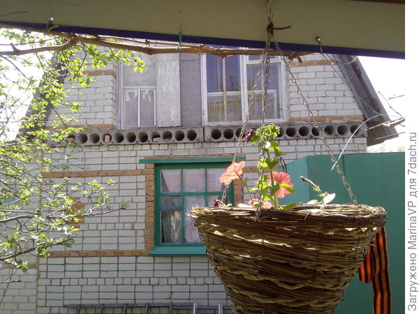 Петунии в беседке,в кашпо-корзинке.