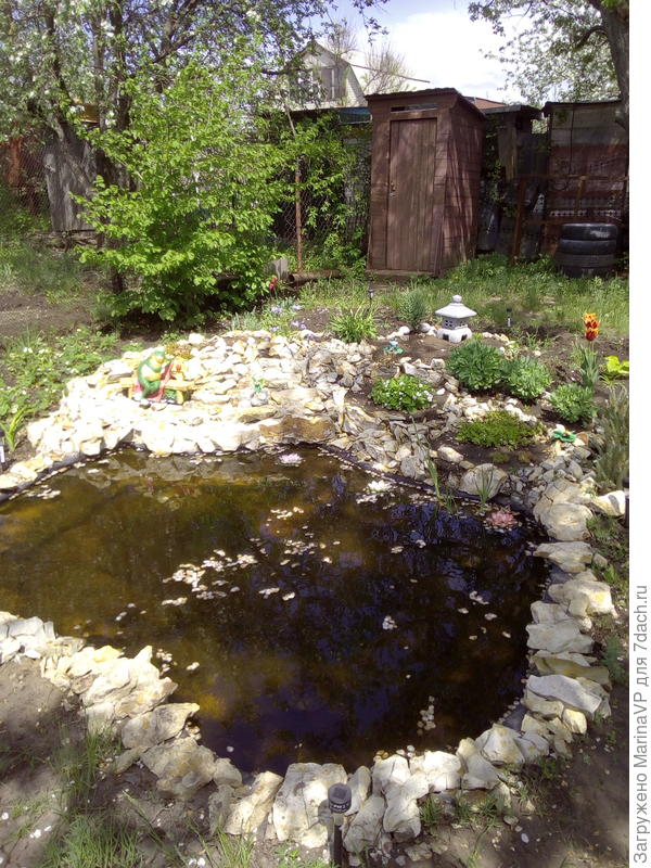 Общий вид пруда и горки.Не все еще растюшки взошли.