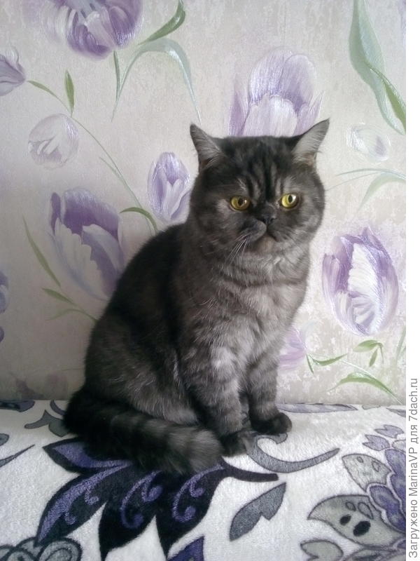 А мой день рождения 21.04.2016 года. Юбилея еще долго ждать)))