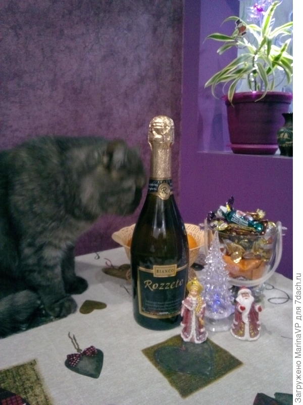 Мой любопытный Сеня.