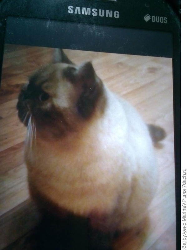 А это сестричка Сени.