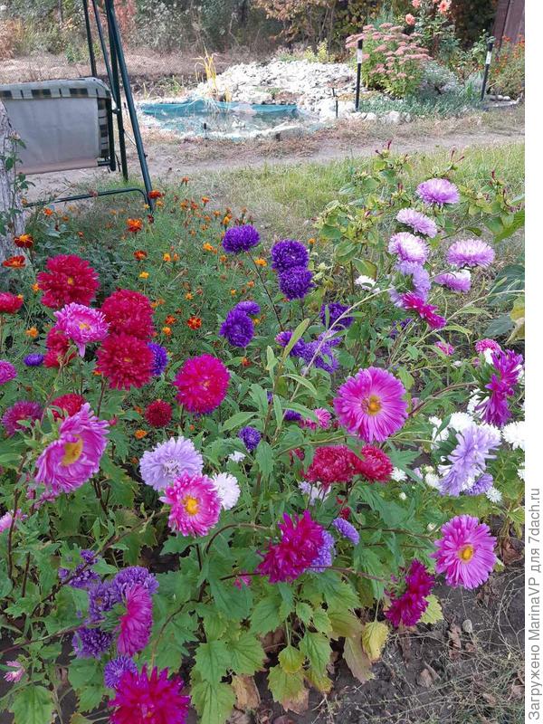 Астрочки с другого ракурса.