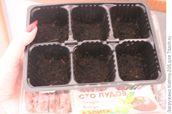 Сто пудов! Ждем всходы)