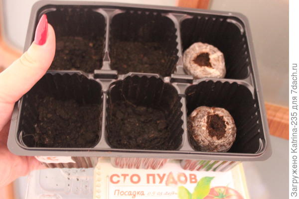 Томаты посажены 9 марта( вчера не было возможности выложить фото), ящики фотографировала сегодня