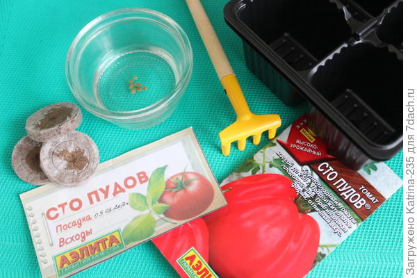 12 семечек было мной посажено,темп в комнате 34 гр, вода простая, без стимуляторов и замачивания, грунт-дачная земля.