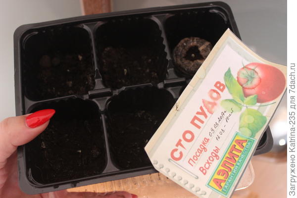 Толстые щечки,пока 5 из 12 семечек