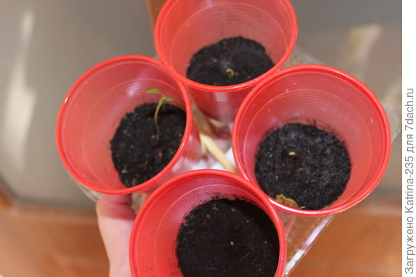 8 из 11, долговато,но не плохо)