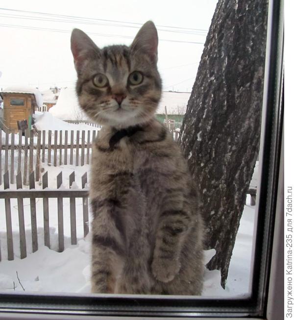 Как домой не пустите?