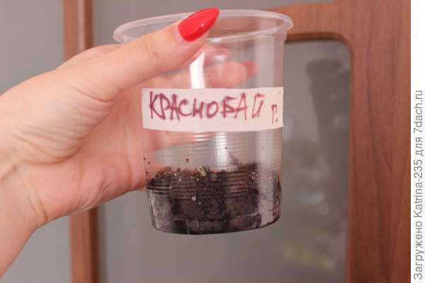 КРАСНОБАЙ ОТ ГАВРИШ