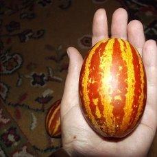 дыня на ладошке