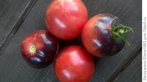 &quot;Голубая прелесть&quot;