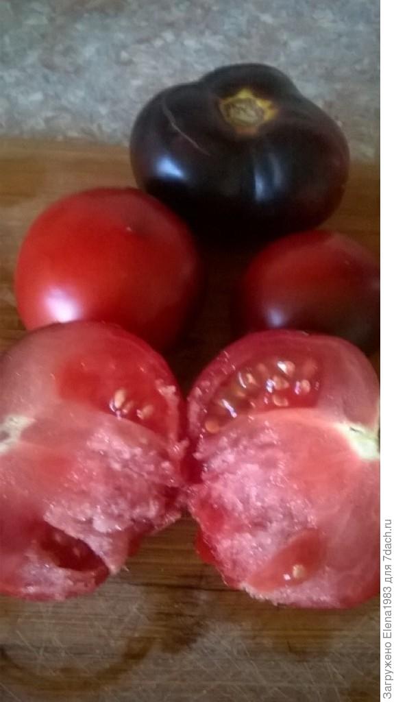 &quot;Красный уголь&quot;