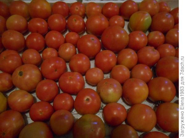 Лонг Кипер на хранении