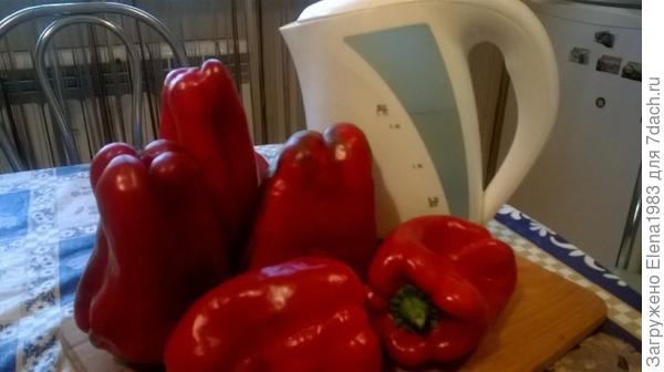 перец, урожай этого года