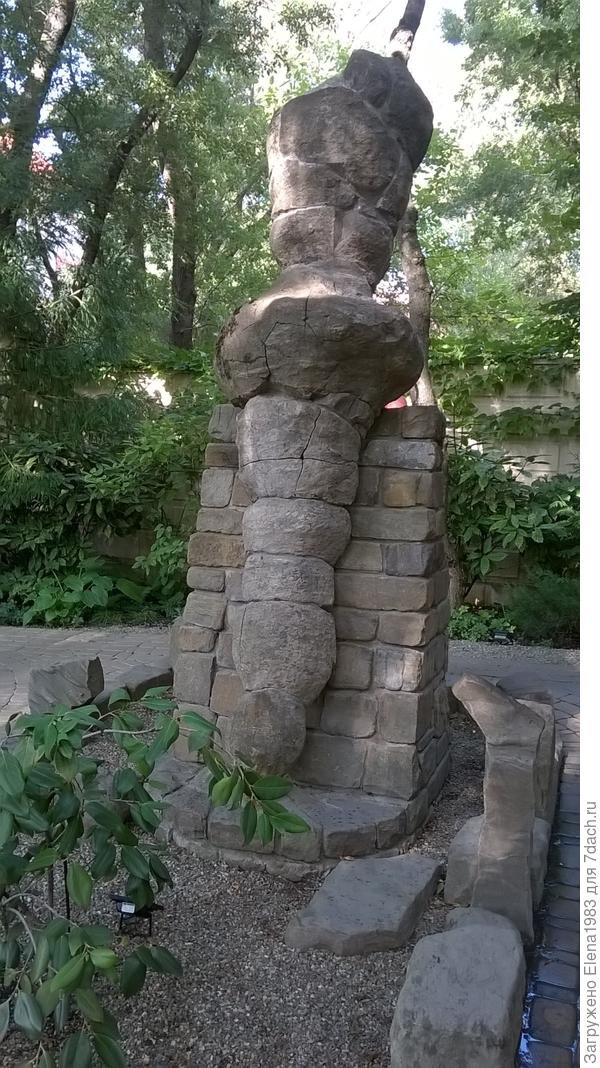 кот