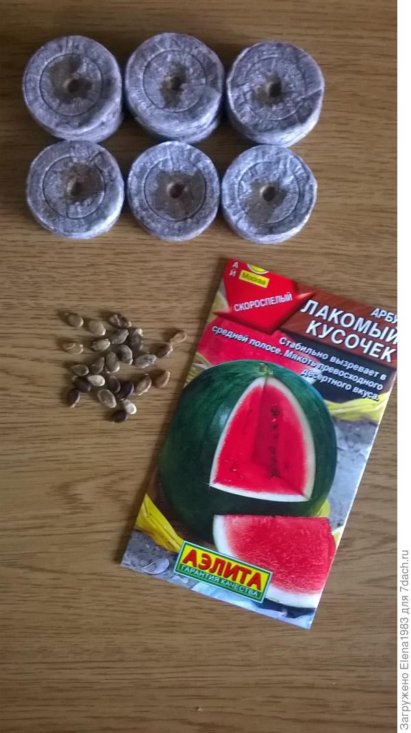быч