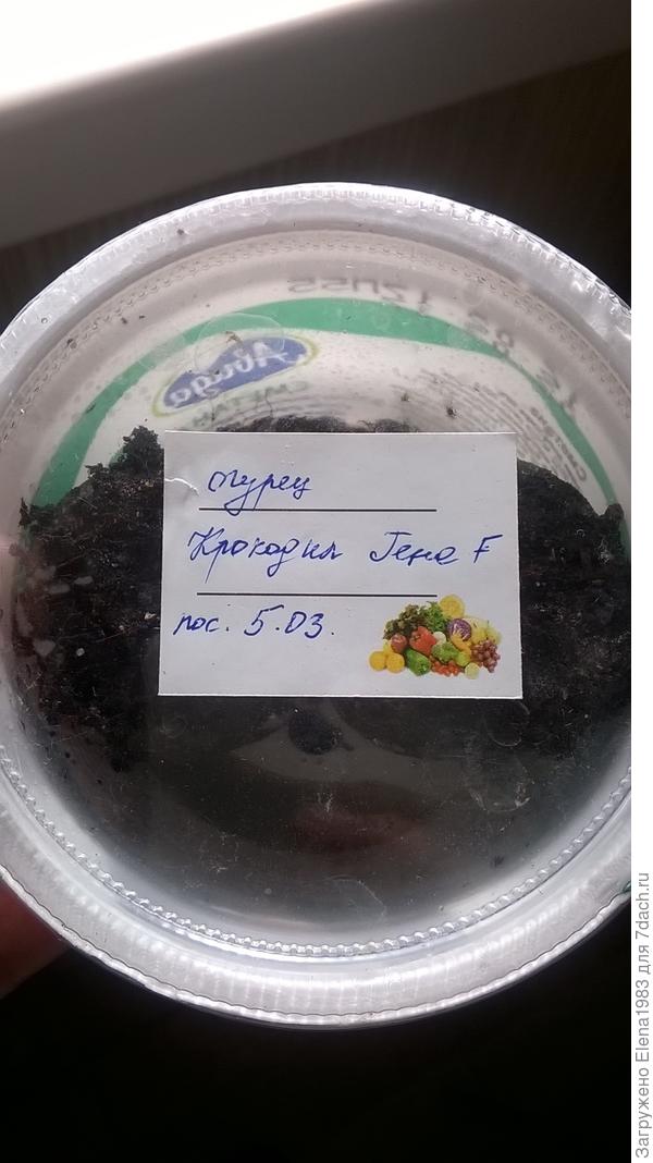 тор