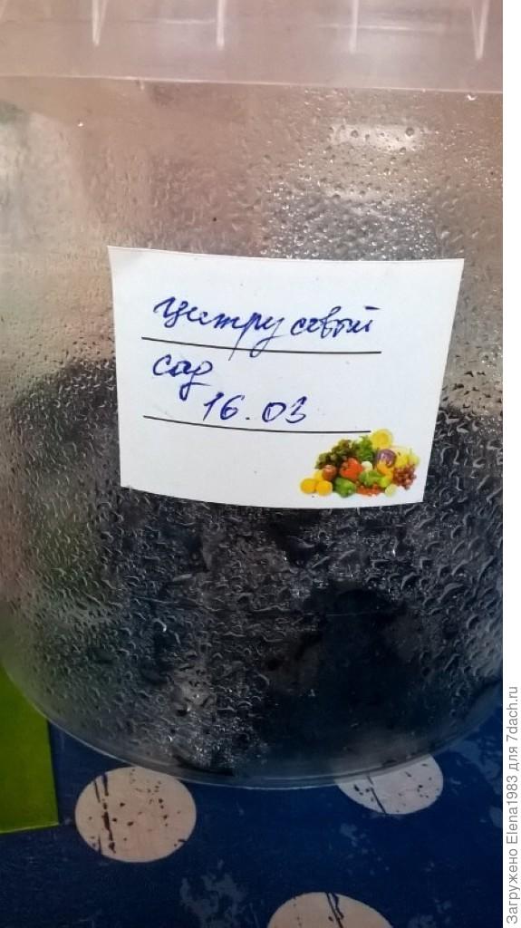цитр