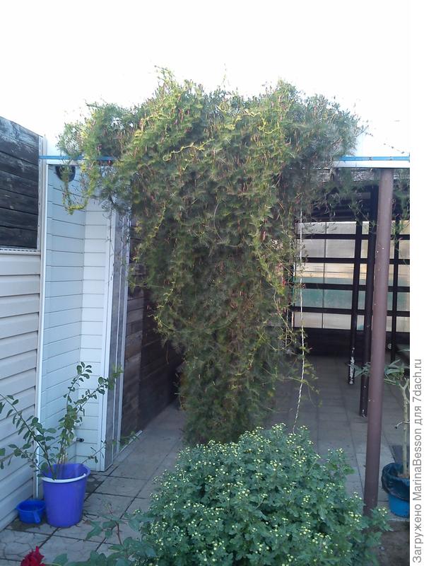 А это уже сегодня...