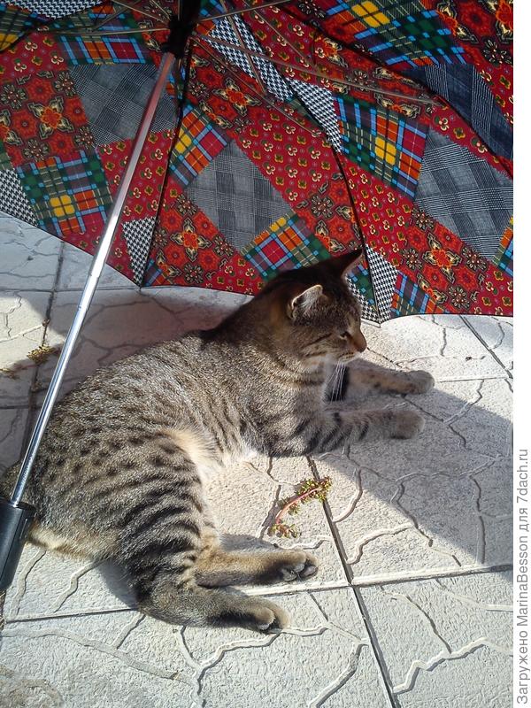 Без комментариев...)