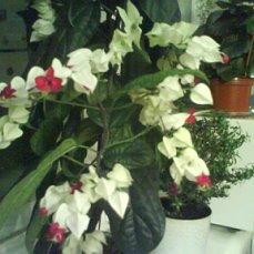 Фото январь.