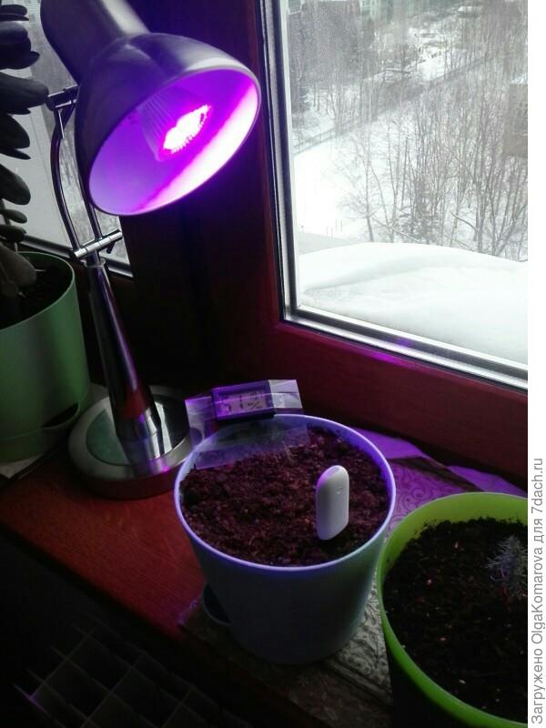 почти мой вариант, только у меня светильник на прищепке.