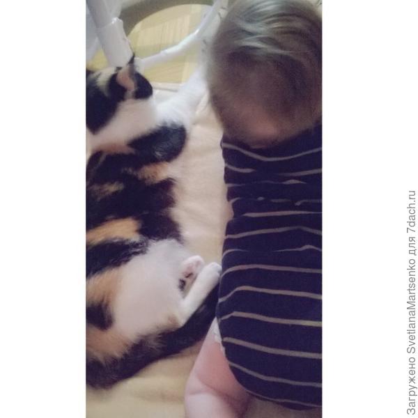 всегда старается успокоить,когда плачет мелкий.сын с ней обожает играть:)