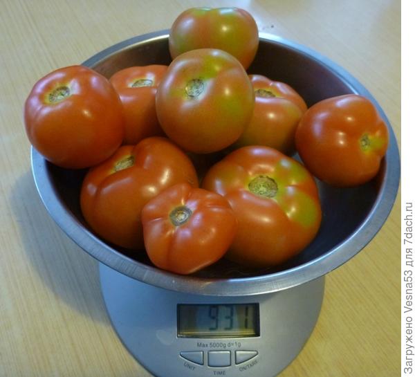 Взвешивание плодов, снятых 13 августа 2017 г.