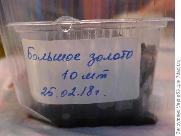 Контейнер помечен этикеткой с наименованием сорта и сроком посева